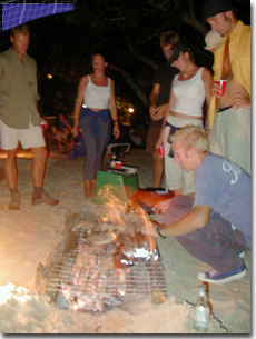 grillparty.jpg (25206 bytes)